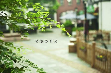 5.10五月初夏.jpg